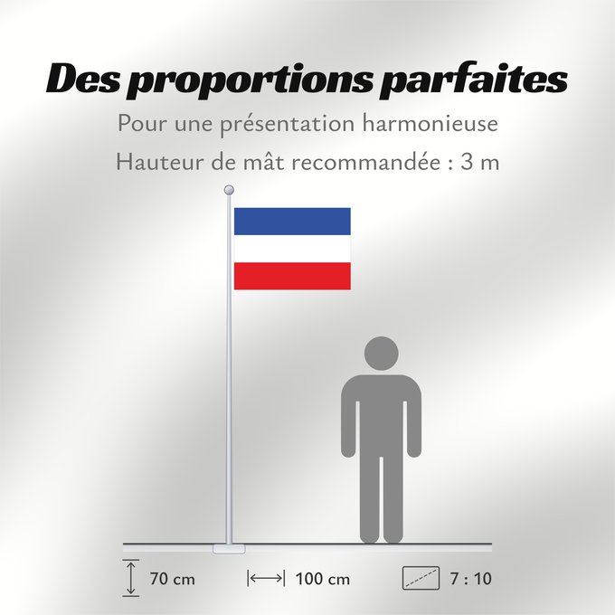 Proportions du drapeau : Schleswig-Holstein