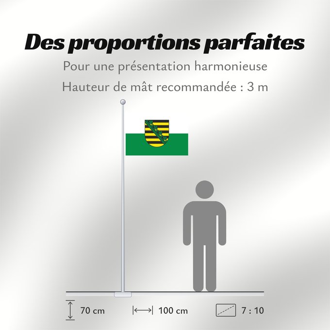 Proportions du drapeau : Saxony Civil flag of Saxony Saxe Sajonia Landesflagge Sachsens Sassonia Sachsens Chorhoj Sakskeje Flaage fon Saksen