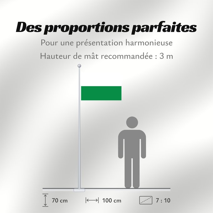 Proportions du drapeau : Saxony	Civil flag of Saxony	Saxe	Sajonia	Landesflagge Sachsens	Sassonia	Sachsens	Chorhoj Sakskeje	Флаг Саксонии	Flaage fon Saksen