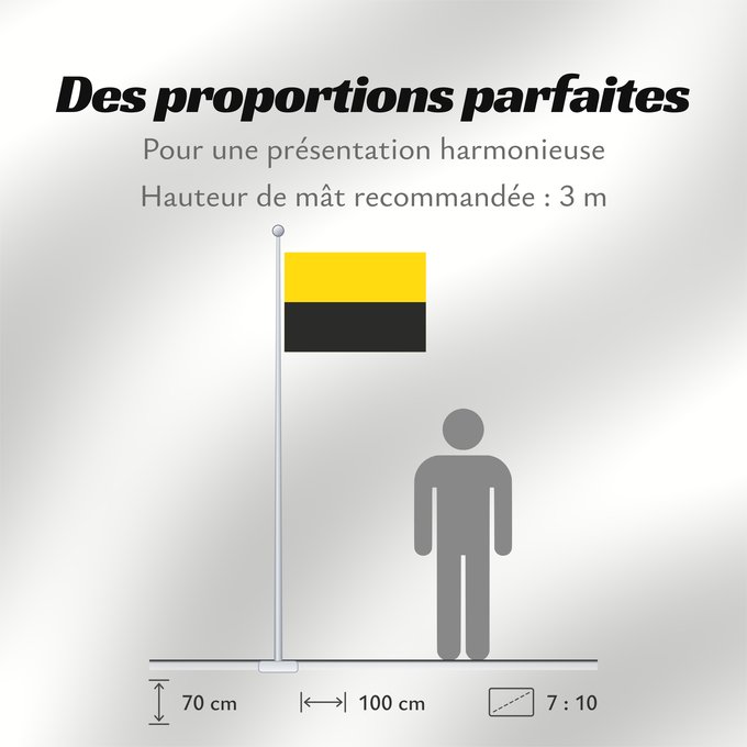Proportions du drapeau : Saxony-Anhalt	Saxony-Anhalt 	Saxe-Anhalt	Sajonia-Anhalt	Sachsen-Anhalt	Sassonia-Anhalt	Civil flag of Saxony-Anhalt