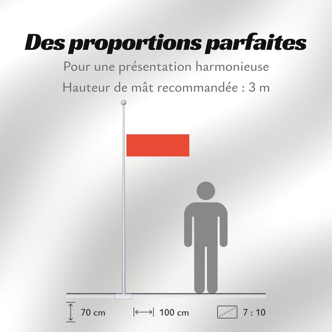 Proportions du drapeau : Thuringia Thuringe Turingia Thüringen