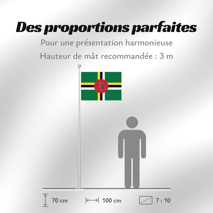 Proportions du drapeau : Dominica Dominique Dominica lipp Dominican ドミニカ国の国旗 Флаг Доминики Dominike Dominicas
