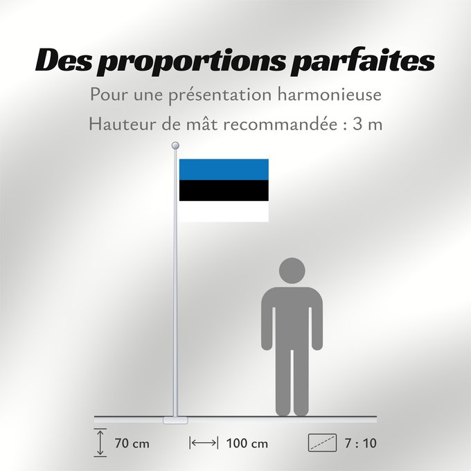 Proportions du drapeau : Estonia L Estonie Estland Estone Estónia Estonii Сцяг Эстоніі Национално знаме на Естония Estonská vlajka Σημαία της Εσθονίας Eesti lipp پرچم کشور استونی Viron HEastóine Észtország エストニアの国旗 ესტონეთის დროშა Estijos Igaunijas Знаме на Естонија Estoniei Флаг