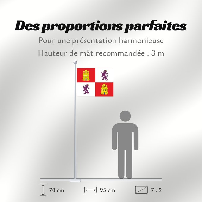 Proportions du drapeau : Castile and León Autonomous community of Castile and León Castille-et-León Comunidad autónoma de Castilla y León Kastilien und León Castiglia e León
