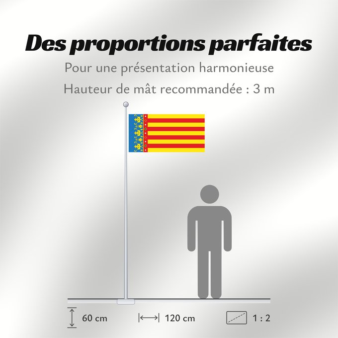 Proportions du drapeau : Land of Valencia  official	Land of Valencia, 1 2 ratio	Valencia Community	Comunidad Valenciana, proporciones 1 2	Valencian Community	Comunità Valenciana	D o Comunidat Balenziana	Comunidá Valenciana	Comunitat Valenciana, proporcions 1 2	Valentziako Erkideg
