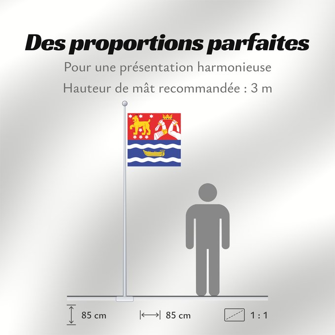 Proportions du drapeau : Etelä-Suomen lääni