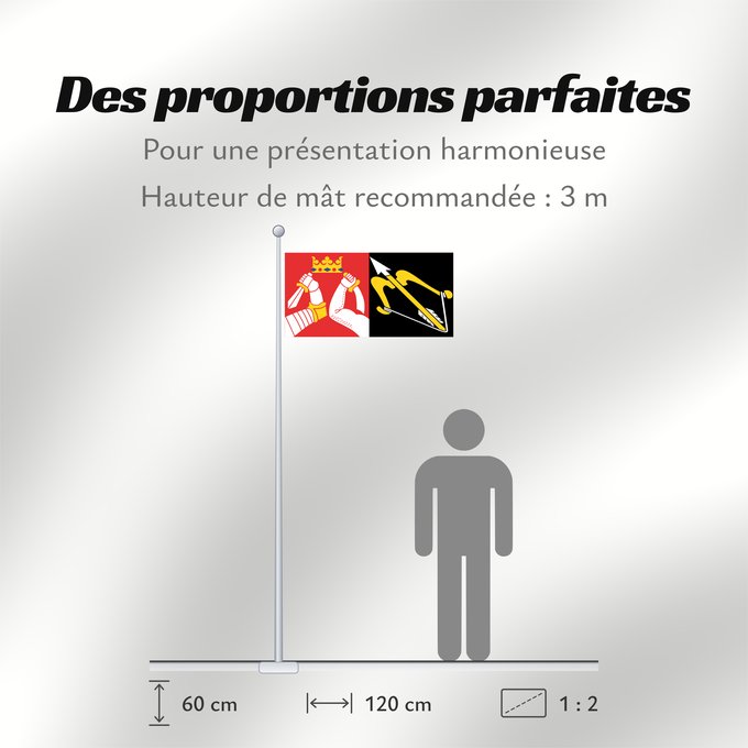 Proportions du drapeau : Itä-Suomen lääni