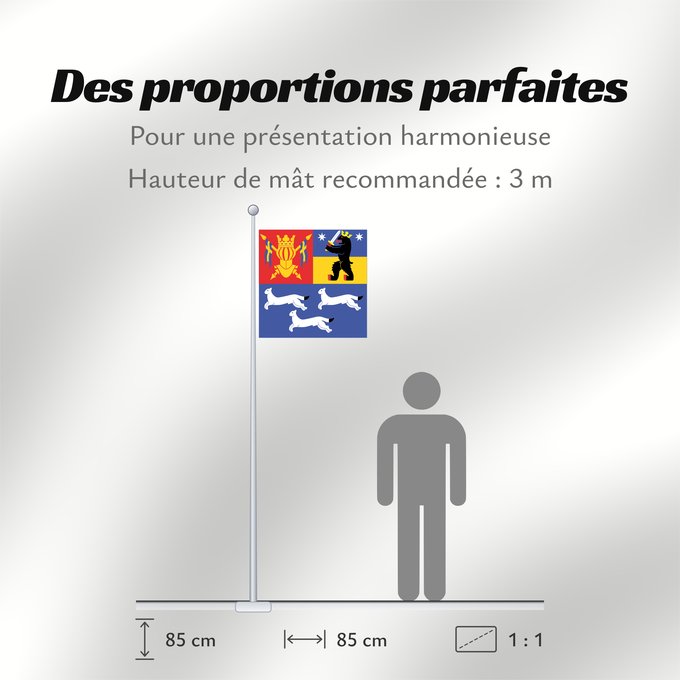 Proportions du drapeau : Länsi-Suomen lääni