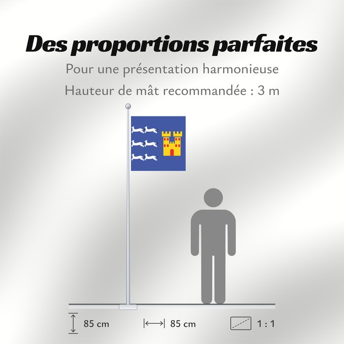 Proportions du drapeau : Oulun lääni