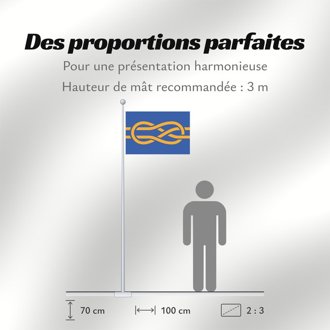 Proportions du drapeau : FIAV	Fédération internationale des associations vexillologiques   International Federation of Vexillological Associations	Fédération internationale des associations vexillologiques	Federación Internacional de Asociaciones Vexilológicas	FIAV (International
