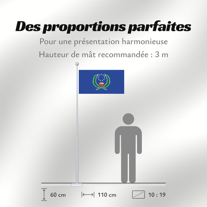 Proportions du drapeau : Pohnpei	State of Pohnpei	L État de Pohnpei	Pohnpei 	Staates Pohnpei im Verhältnis 10 19 Beschreibung der Flagge  Das blaue Tuch steht für den Pazifik