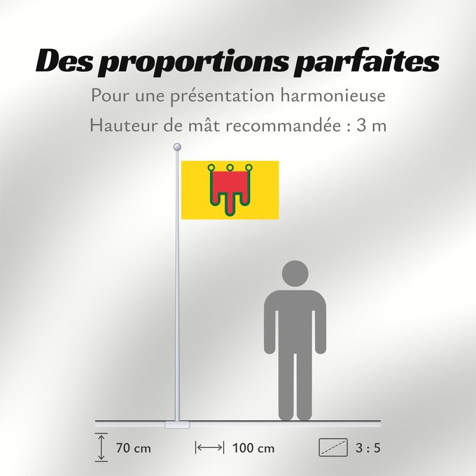 Proportions du drapeau : Auvergne Region Auvergne in France Région Auvergne en France Auvèrnia