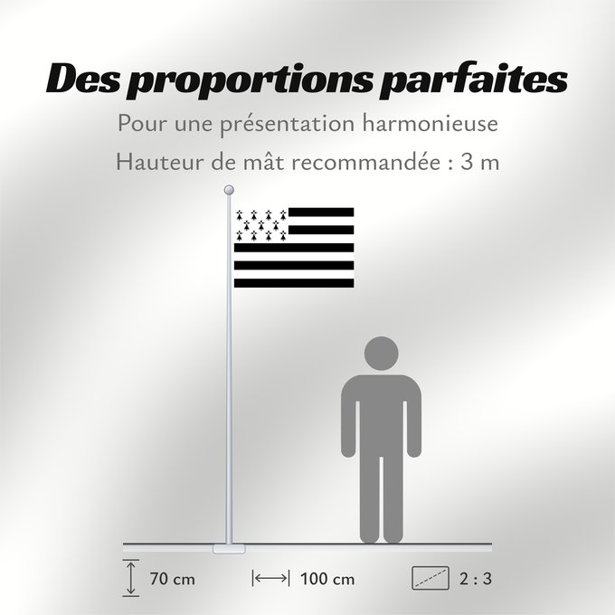 Proportions du drapeau : Brittany	The Gwenn-ha-du, flag of Brittany	Le Gwenn-ha-du, drapeau de la Bretagne	Spaniel Bretón	Bretagna	Ar Gwenn-ha-du, banniel Breizh