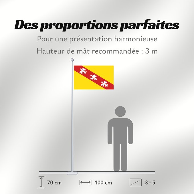 Proportions du drapeau : Lorraine Region Lorraine in France Région Lorraine en France Lorena Lorena