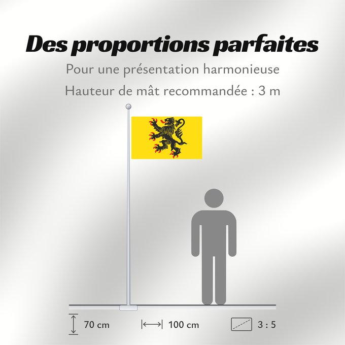 Proportions du drapeau : Generic flag of Nord-Pas-de-Calais Lion of Flandres appearing Lion des flandres Norte-Paso de Calais Flämischer Löwe Nord-Pas-de-Calais