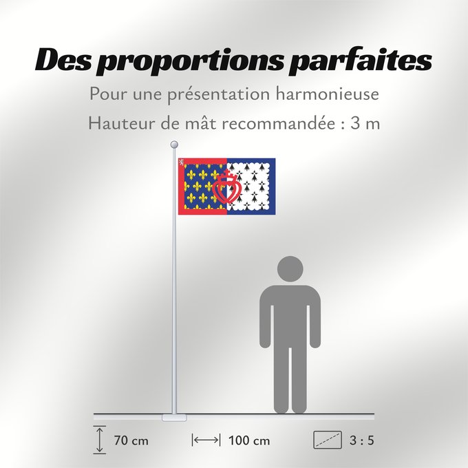 Proportions du drapeau : Unofficial flag of Pays-de-la-Loire Unofficial flag of the region Pays-de-la-Loire in France Non officiel de la région Pays-de-la-Loire Países del Loira Pays de la Loire Los Païses de Léger