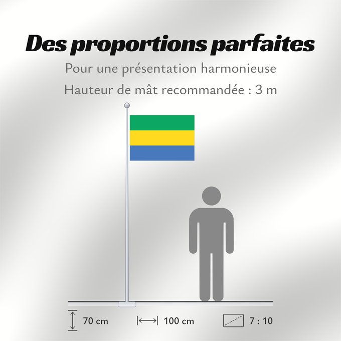 Proportions du drapeau : Gabon	Gabón	Gabun	Gabão	علم جمهوريةالغابون	Banniel Gabon	Gabons	Gabono	Gabongo bandera	پرچم گابن	Drapél du Gabon	Dalapo ya Ngabu	Bɛndɛ́lɛ ya Gabɔ́	Bendêre tî Gaböon