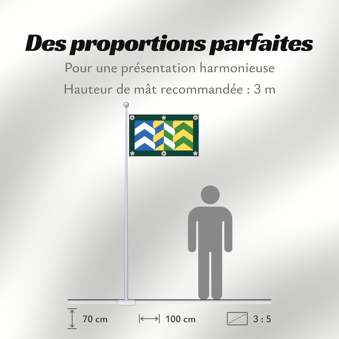 Proportions du drapeau : Cumbria
