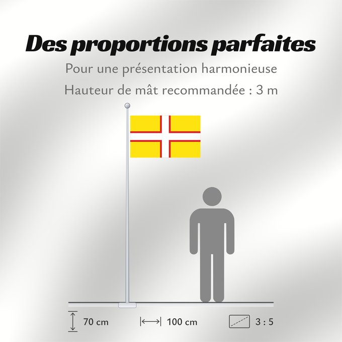 Proportions du drapeau : Dorset	Dorset, England