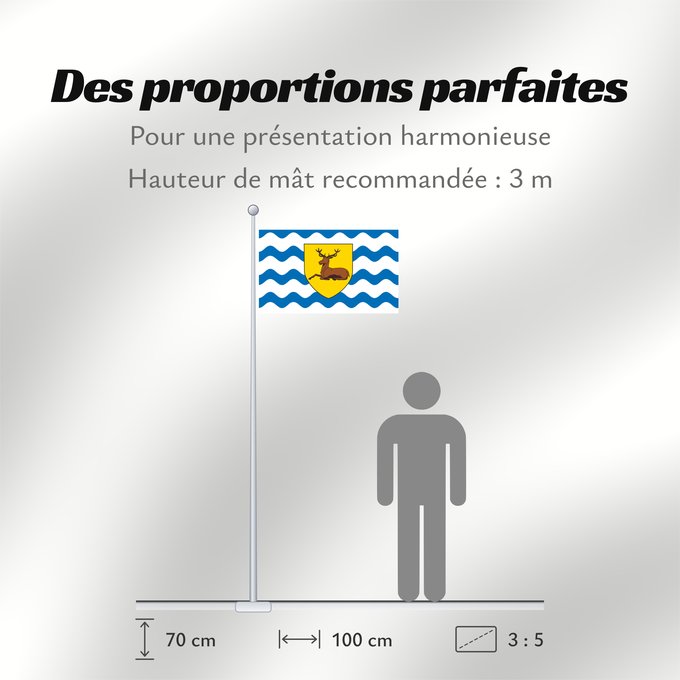 Proportions du drapeau : County Flag of Hertfordshire Hertfordshire Hertfordshire flag