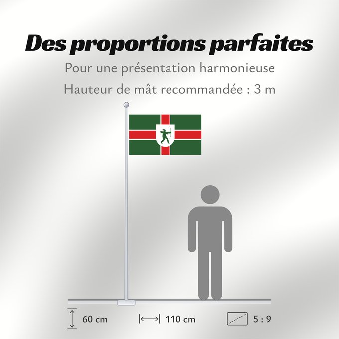Proportions du drapeau : County Flag of Nottinghamshire Nottinghamshire Snotingahāmscīre fana