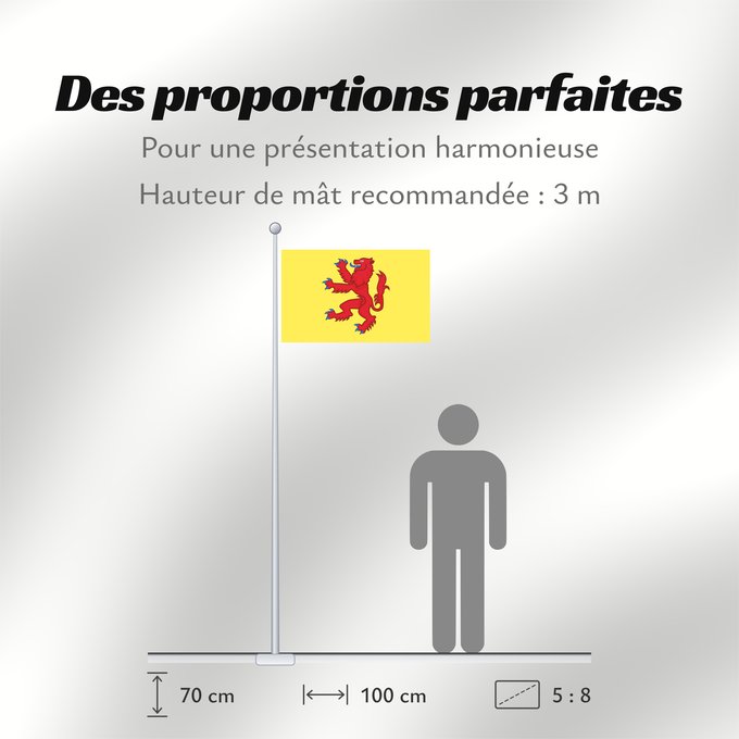 Proportions du drapeau : Powys	Welsh Kingdom of Powys and the House of Mathrafal