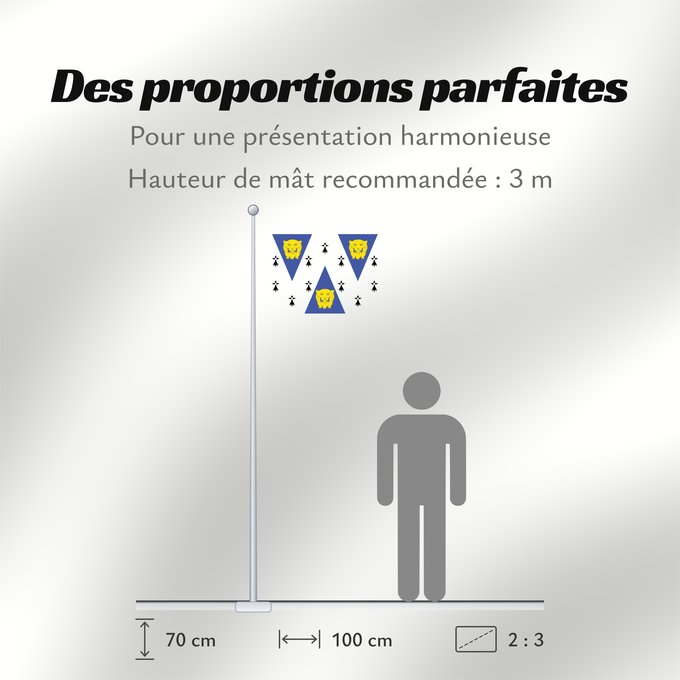 Proportions du drapeau : Shropshire