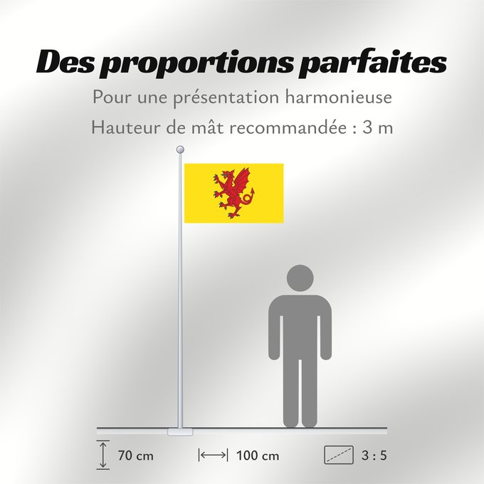Proportions du drapeau : Somerset