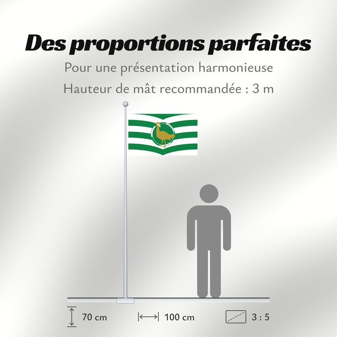 Proportions du drapeau : County Flag of Wiltshire Wiltshire Le Wiltshire