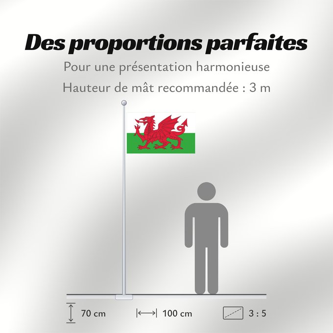 Proportions du drapeau : Wales 2	Wales	Pays de Galles	Gales	Wale	Galles	Walii	Wīelisc Fana	علم ويلز	Banniel Kembre	Cymru	Galesko bandera	Walesin	Breataine Bige	Brattag Vretin	Walesa	Kembra	Valliae	Знаме на Велс	Couleu de Galles	Флаг Уэльса	Прапор Уельсу