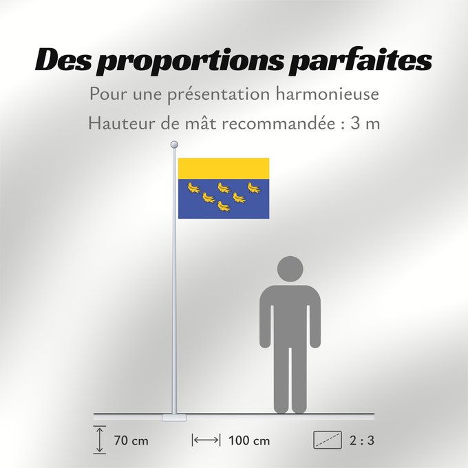 Proportions du drapeau : West Sussex