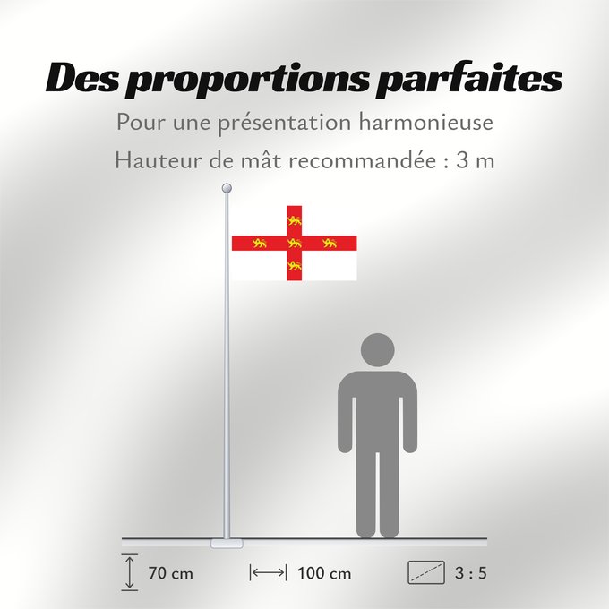 Proportions du drapeau : York