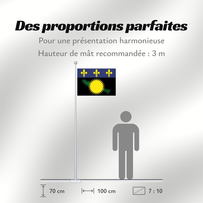 Proportions du drapeau : Unofficial flag of Guadeloupe  local	Unofficial local flag of Guadeloupe	Guadeloupe	Guadalupe. Uso no oficial	Guadalupa