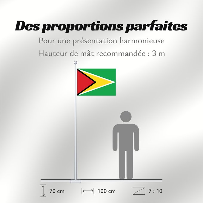 Proportions du drapeau : Guyana Guiana Wayana wiphala Gujano Gwayana Wayana unancha Флаг Гайаны Guyanas Quốc kỳ Guyana