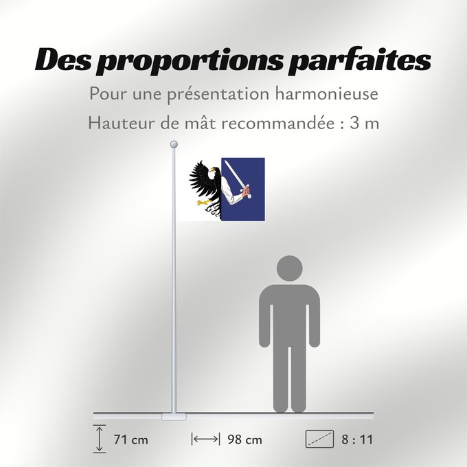 Proportions du drapeau : Connacht	W Connacht	Connacht ou Connaught