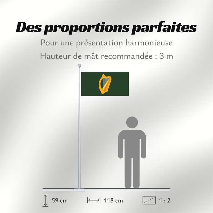 Proportions du drapeau : Leinster	W Leinster