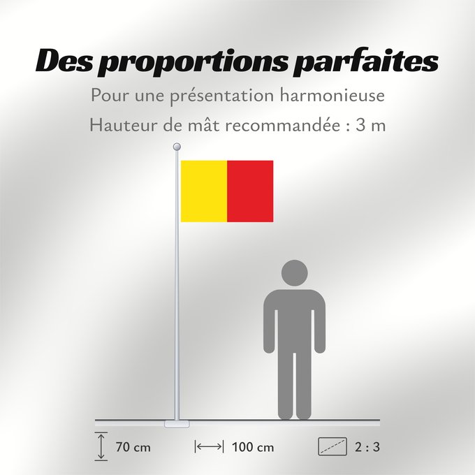 Proportions du drapeau : Naples	Province of Naples	Province de Naples	Provincia de Naples	Provinz Naples	Napoli