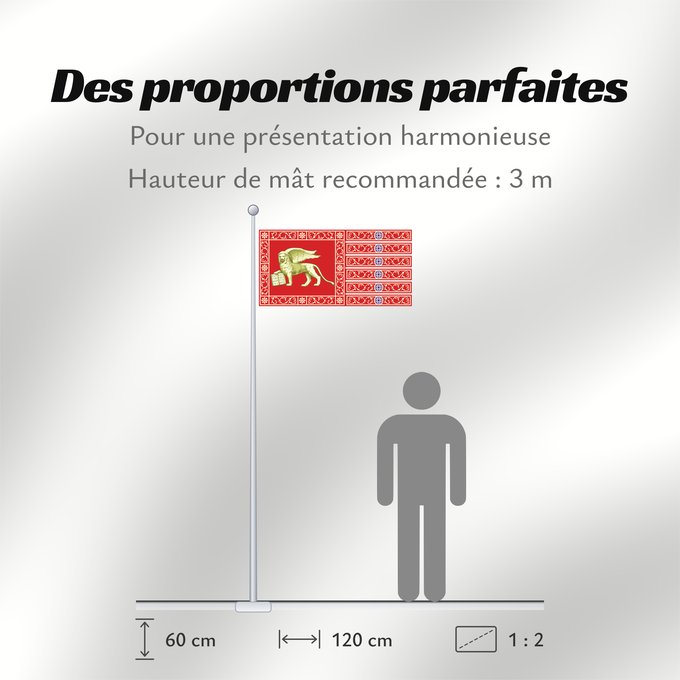 Proportions du drapeau : Most Serene Republic of Venice	Province of Venice	Venise	Provincia de Venecia	Provinz Venedig	Provincia di Venezia	Republic of Venice