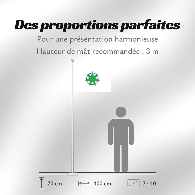 Proportions du drapeau : Aomori