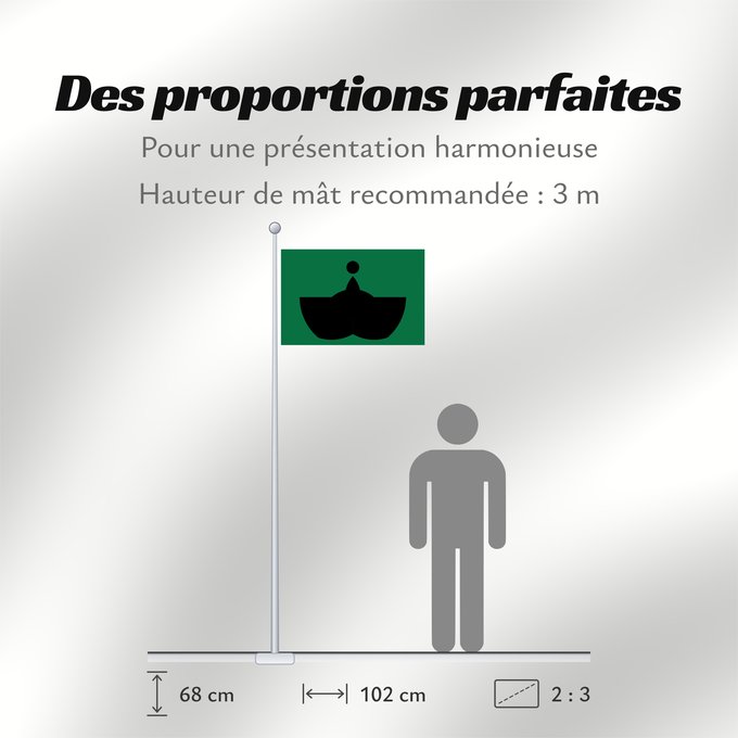 Proportions du drapeau :  Tiba [Chiba]