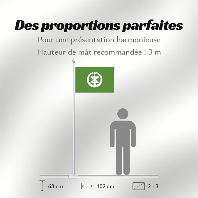 Proportions du drapeau : Niigata