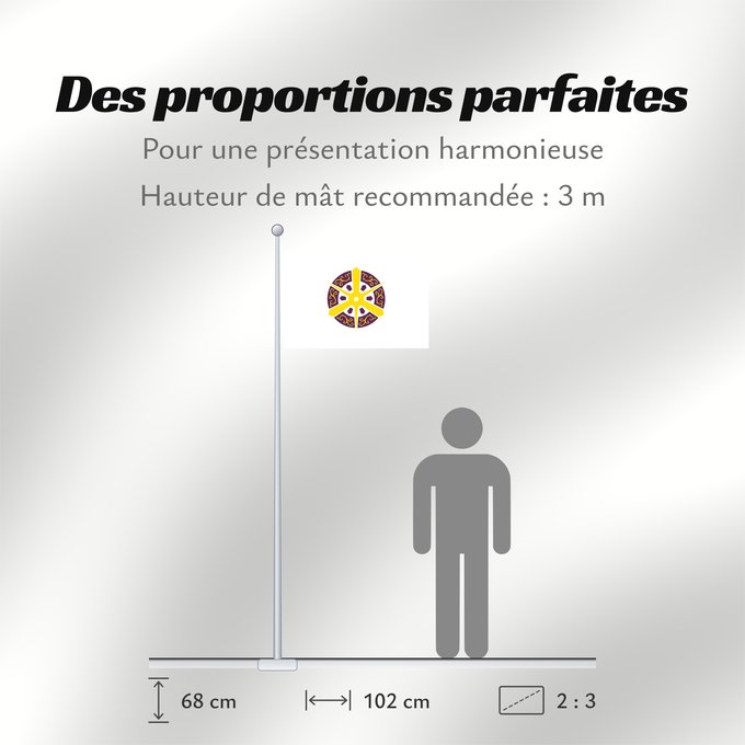 Proportions du drapeau : Kyoto City Kyôto City Kyōto ou Kyoto Kioto Kyōto De Kyôto Quioto 京都市旗 京都市旗 / 교또시기 京都市旗