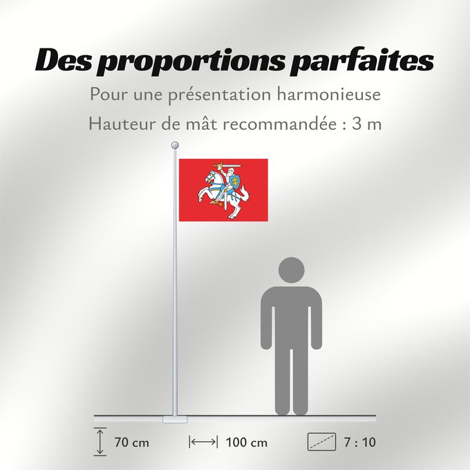 Proportions du drapeau : Lithuania	Lituanie	Lituania	Litauen	Lituana	Litouwen	Lituânia	Litwy	Litevská vlajka	Litauens	Litovio	Leedu lipp	Liettuan	Liotuáine	Litve	Litvánia	Lietuvas	Tal-Litwanja	Lituaniei	Litvy