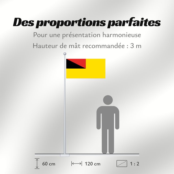 Proportions du drapeau : Negeri Sembilan	Negeri Sembilan, a state of Malaysia