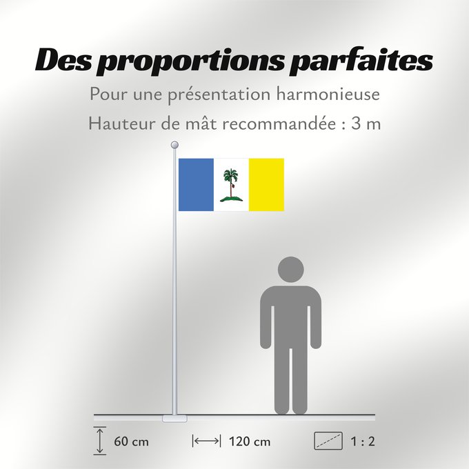 Proportions du drapeau : Pulau Pinang