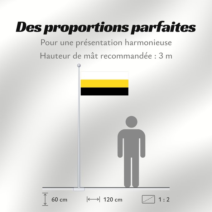 Proportions du drapeau : Perak Malaysian state of Perak