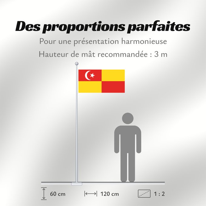 Proportions du drapeau : Selangor Selangor Malaysian state Selangor