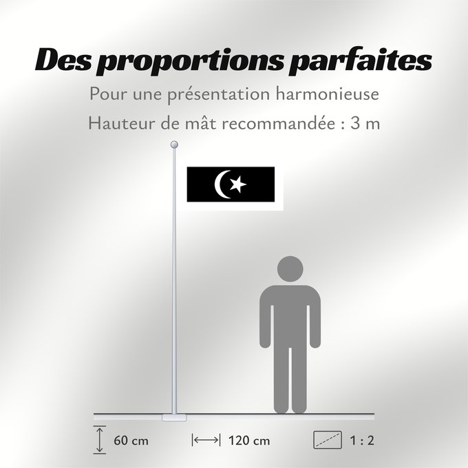 Proportions du drapeau : Terengganu	Malaysian state Terengganu