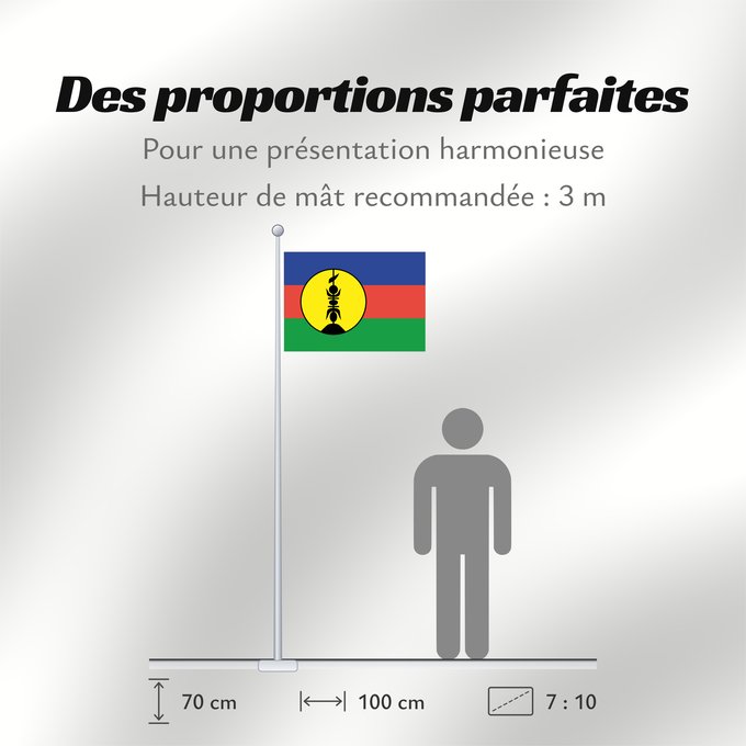 Proportions du drapeau : FLNKS Kanak and Socialist National Liberation Front political party Front de libération nationale kanak et socialiste Colores Pantone http //www Neukaledonien Nuova Caledonia Front d Alliberament Nacional Canac Socialista