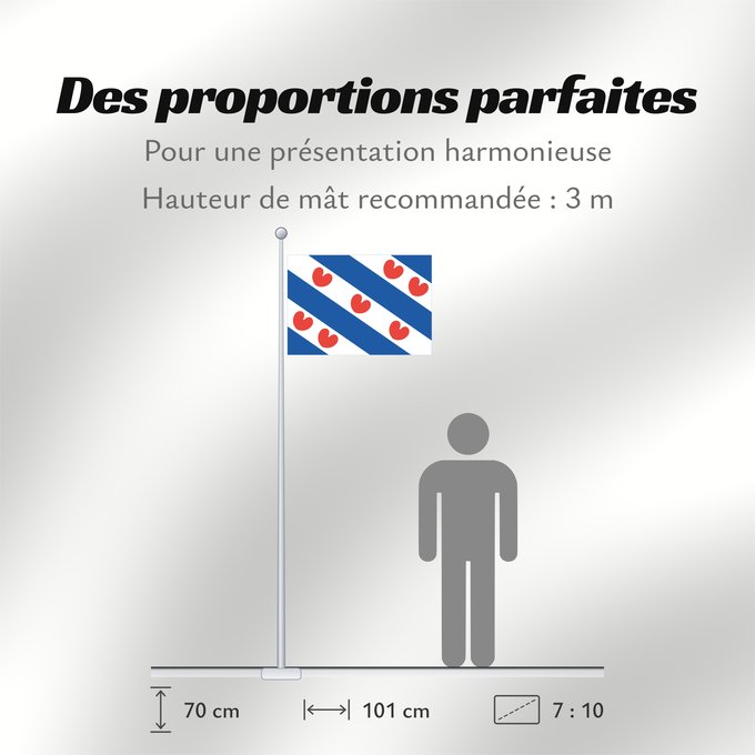 Proportions du drapeau : Frisian	Dutch province of Friesland	Frise	Frisia	Friesland	De Friese vlag en het wapen hebben een gemeenschappelijke herkomst